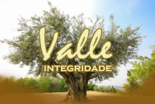 Vendedor Externo - Integridade Valle
