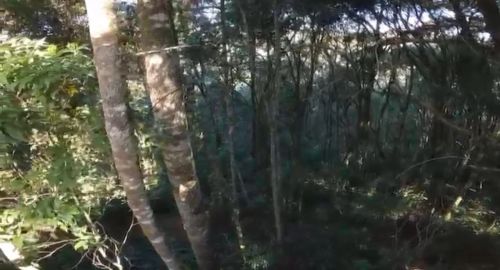 Terreno em Biguaçu três riacho 