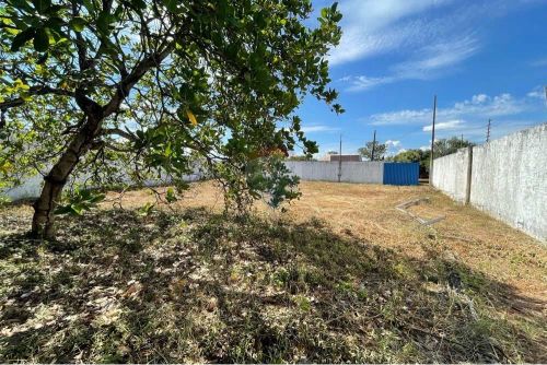 Terreno em Vila Adriana: Ótimo Preço e Localização!