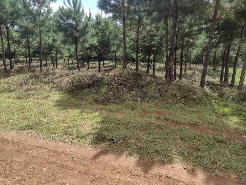 Terreno rural 