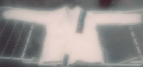 Jaleco kimono jiu-jitsu infantil c3