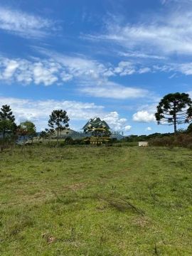 Imóvel para venda possui 3 hectares em Perico - São Joaquim - SC
