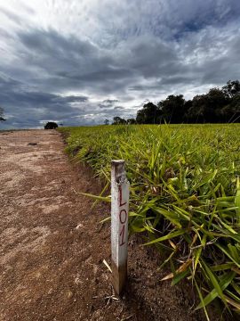 Imóvel para venda tem 1000 metros quadrados em Figueiras - Alumínio - SP