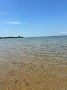 Vendo chácara na beira lago 