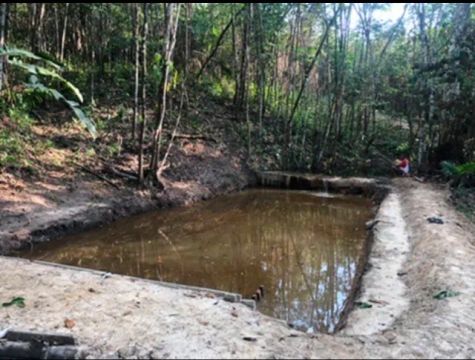 Terreno 9 hectares 