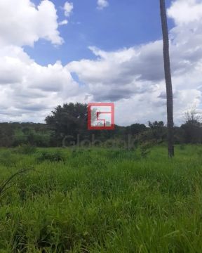 Fazenda/Sítio/Chácara em Brasília de Minas, no bairro Brasília de Minas, à venda.