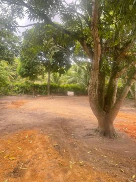 Sitio em Paulista PE 160 Mil Reais