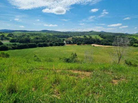 Sítio de 10,5 Alqueires em Cardoso Moreira