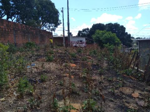 Terreno Paulista / Tabajara