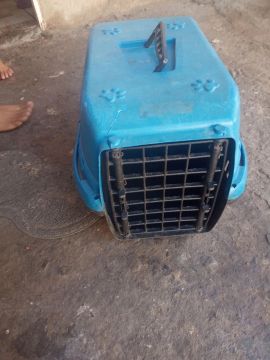 Caixa de Transporte para Pet