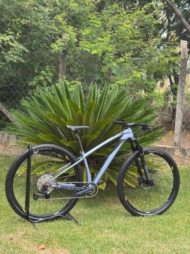 Audax auge 600