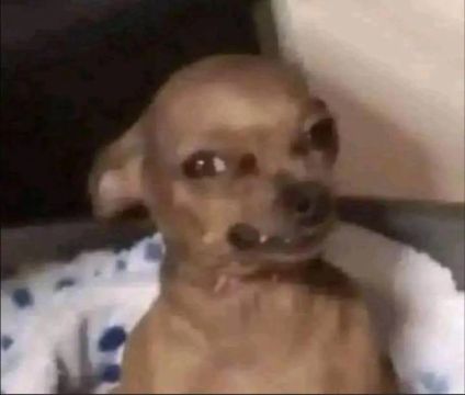 Anúncio teste