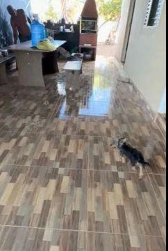 Vendo de se sítio 