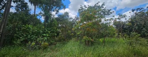 CHACARA NAS MANSOES NA LINHA DO ÔNIBUS - 5000m²