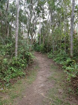 Terreno no Jardim Club de Campo, em Santo André, 670m².