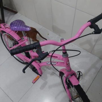 BICICLETA INFANTIL ARO 20