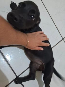 Doação 