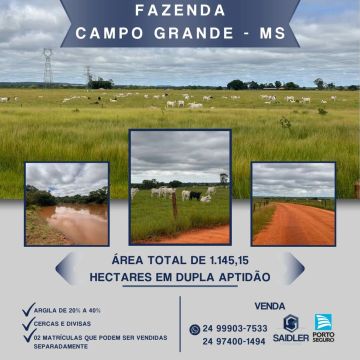 Fazenda em Campo Grande MS, 