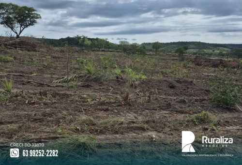 Rio Sono - TO Em processo de abertura, R$ 16 mil o hectare útil argila média de 20 a 30%