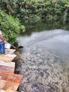 Fazenda Premium em Nova Maringá - MT