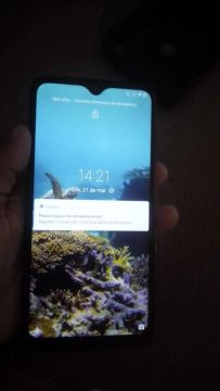 Celular novo