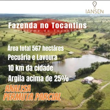 Fazenda Tocantins pecuaria ou lavoura Permuta
