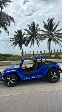 Buggy selvagem 82