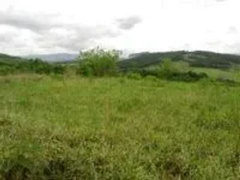 Venda Commercial / Land Lot Congonhas MG
