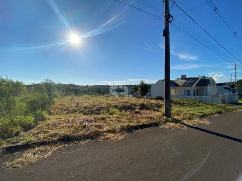 Terreno com boa topografia na João Alves