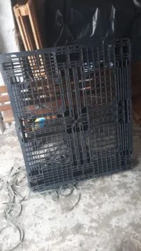 Pallet de plástico em diadema 