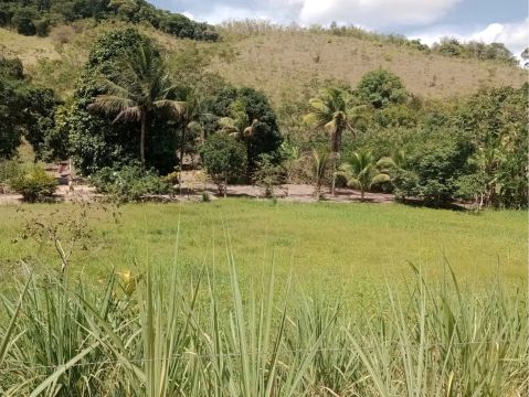 Vende-se Sítio em Murici (AL)