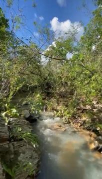 Vendo área na rodovia da chapada no km34 