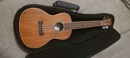 Ukulele Cordoba 15CM profissional