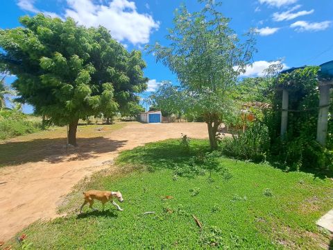 Imóvel para venda possui 6534 metros quadrados com 3 quartos em Dom José Rodrigues - Juaze