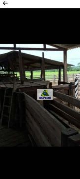 Fazenda à venda, 10000000 m² por R$ 25.000.000,00 - Rural - Pontal do Araguaia/MT