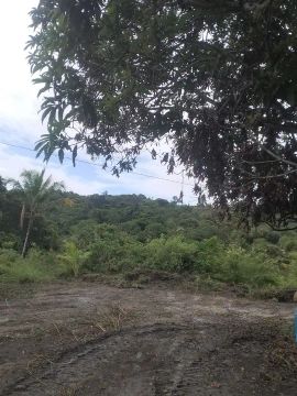 Terreno com área verde em local tranquilo