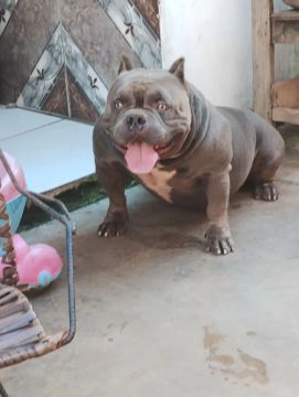 Disponível para cruzar 