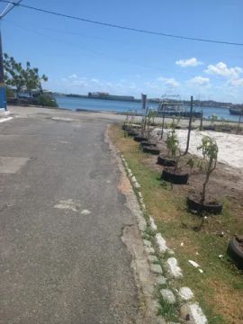 vendo ou tro terreno no centro da barrra 