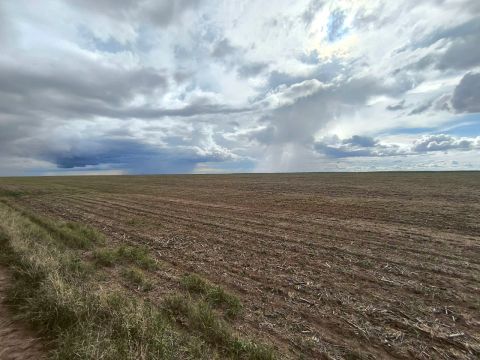 Fazenda de Arrendamento 8.500 hect em nova ubiratã MT. Ou divide, 4.200 e 4.300 hect