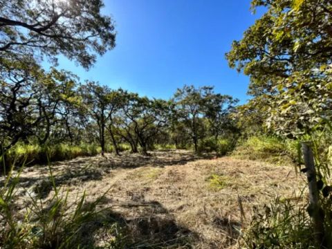 Terreno de 1000m² à Venda em Inhaúma - Asfalto até a Porta!