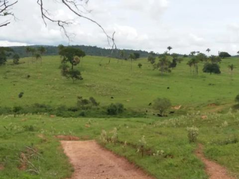 Fazenda monta pecuária triângulo mineiro 