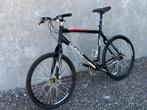 Bicicleta Giant Mountain Bike