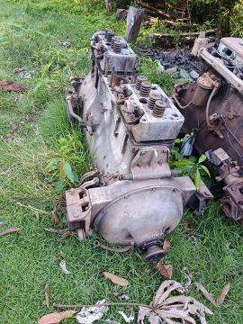 Motor alfa Romeo de draga