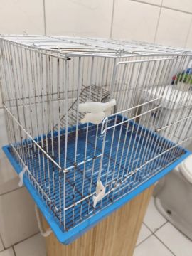 Vendo gaiola para porquinho da índia, ratos ou coelho.