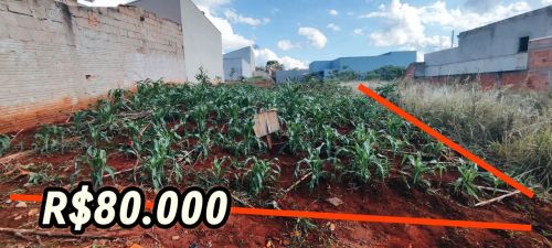 Terreno 160m² - R$80.000 Curiúva PR 