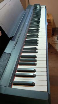 Piano Digital  Yamaha P-115
