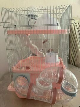 Gaiola para hamsters, porquinhos da índia e outros roedores de pequeno porte