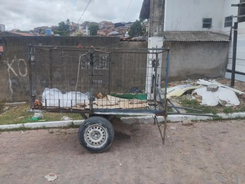 Carroça para reciclagem ?