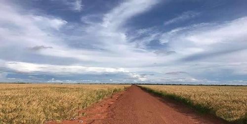  Fazenda no Mato Grosso, em Brasnorte - MT. 32.800 hectares.
