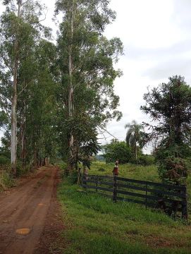 Sítio no Rio Pirapó 